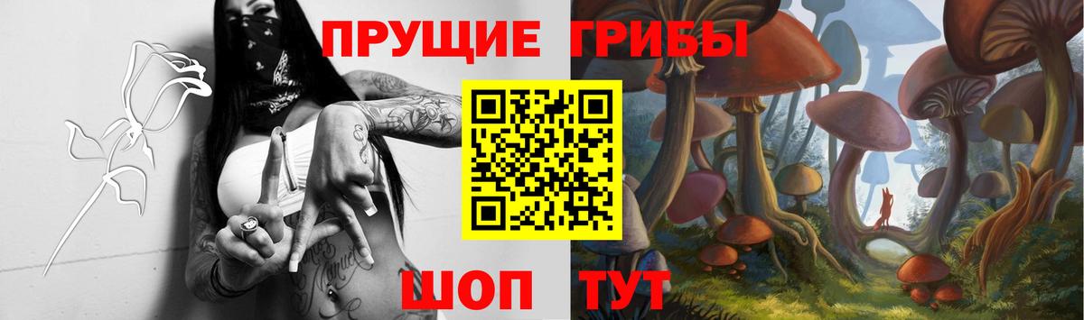 Галлюциногенные грибы Psilocybe  Вход с VPN  Гагарин  Псилоцибиновые грибы прущие грибы 